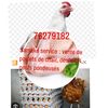 samakeservice5