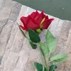 kimzahra663