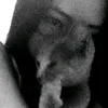 dieforsar4