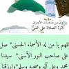 user2488154025737