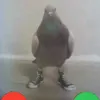 dave_the_magic_chicken