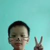 nh.hu29