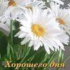 l.timcom2