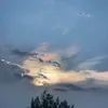 penguin_sleep
