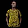 alade_aladire