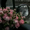 _ilmms