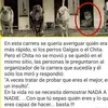 ingridchavez2985