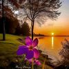 edwrosas8518