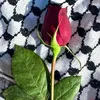 lilou_fefew1315