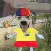 joacod64
