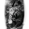 jaguarnegromexicano