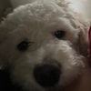 timothyy._0