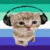 kitty_.gayx