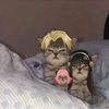 user1oanblwnl0
