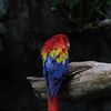 photography_human930