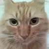 mama_oyen80
