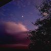 smoon278