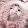 userws9gz8ooei