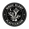 magic__plant