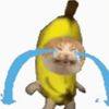 hamwamster