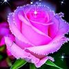 orawan.sriyapai