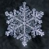 snowflakes.101
