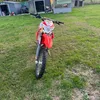 enzo_11131