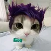 player230jssj