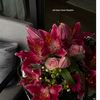 sofia_sarmento6