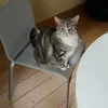 stubbclajh8