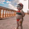 userdixmpil8tw