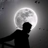 zinousb.23