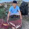 Minh Fishing