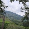 pinedanoel