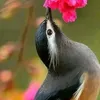 user1128151307215
