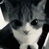 jessbg23