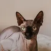 vulgo_amor_sua_vida4