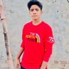 malik295i