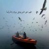 aloya128gmail.com