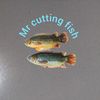 Mr cutting Fish