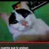 cristoferheredia98