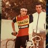 amircham_1