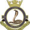 188 Cobra Squadron