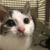 nya._.222