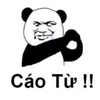 dungdamvaotimem