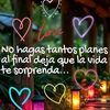carolinaalvareznavarret3