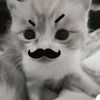 avhsnjee