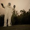 realabominablesnowman