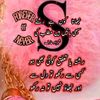 noor.queen762