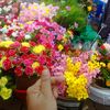 user4990479749544amena